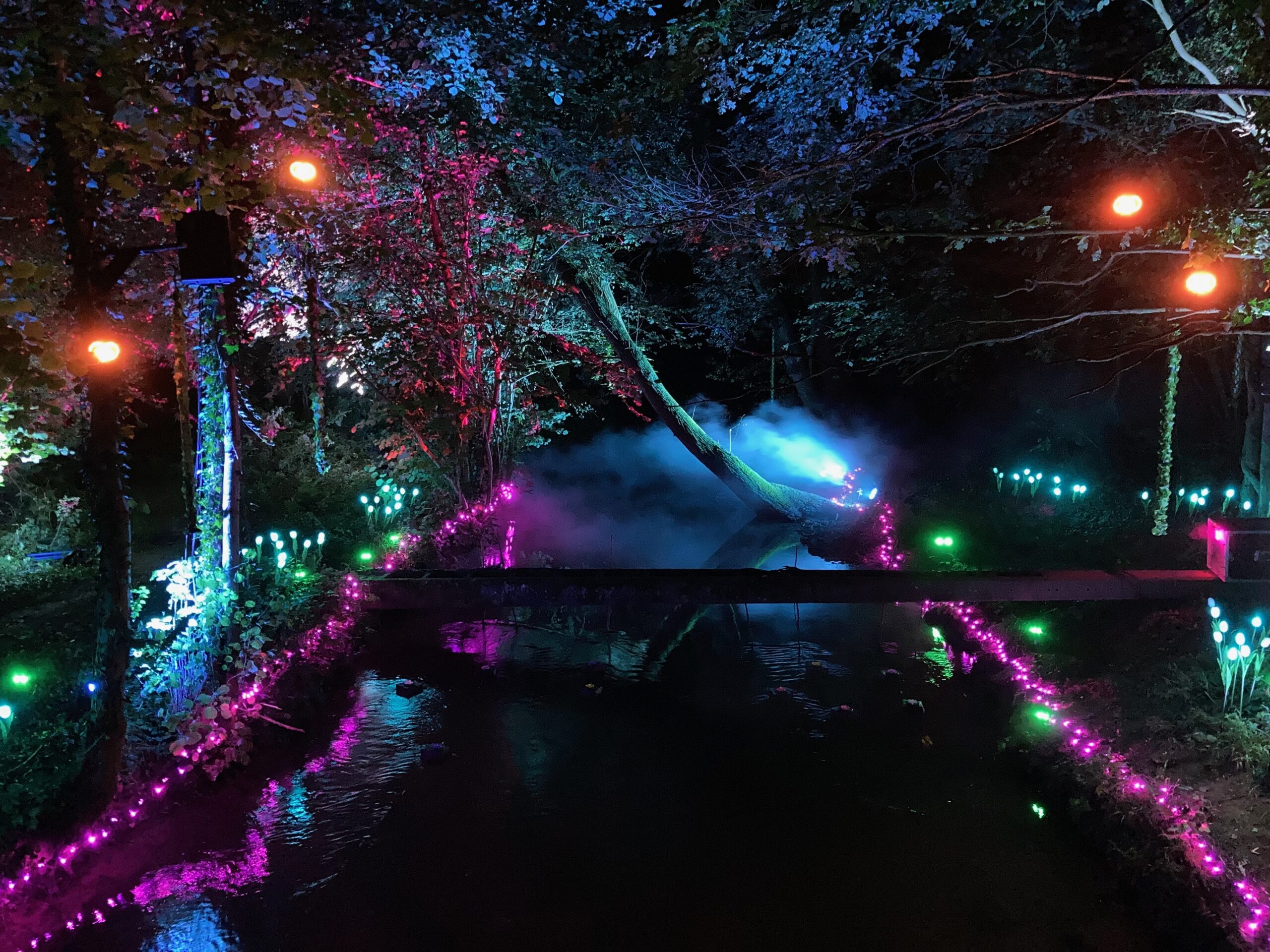 L'Aronde Enchantée — photo 7